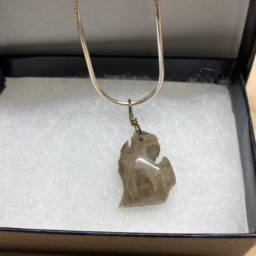 Petoskey Stone Pendant Necklace